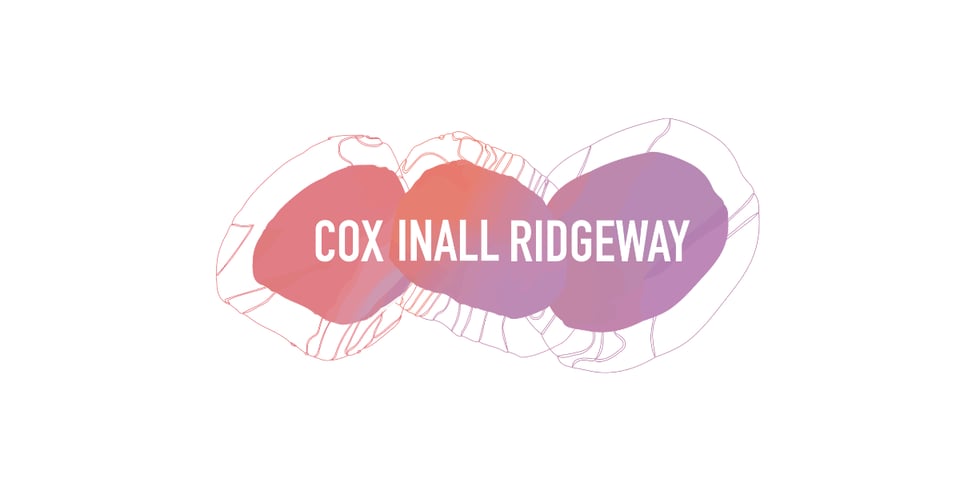 NSWICC Partner Program Opportunity - Cox Inall Ridgeway