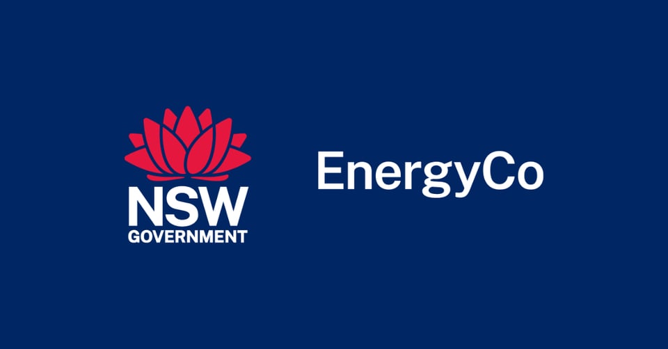 NSWICC Partner Work Packages - EnergyCo