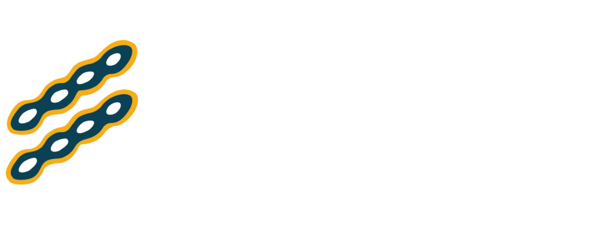 ISDP - White transparent logo